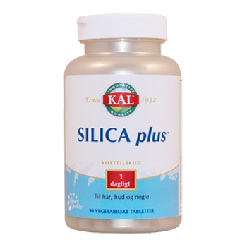 Image of Silica Plus (90tab)