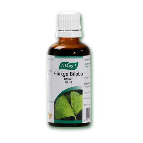 Image of A. Vogel Ginkgo Biloba (100 ml)